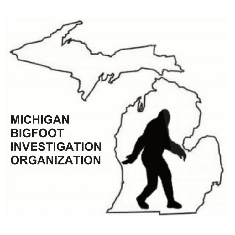 MIBFIO logo
